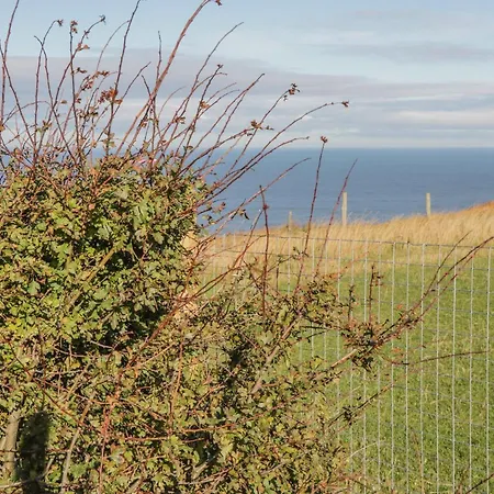 Voebroch וויטבי